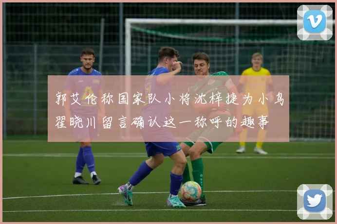 郭艾伦称国家队小将沈梓捷为小鸟翟晓川留言确认这一称呼的趣事