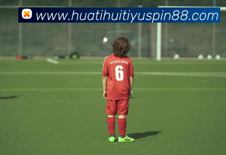 华体会体育平台生态图